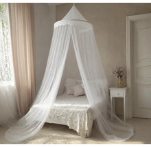 Chambre à coucher avec lit et ciel de lit moustiquaire