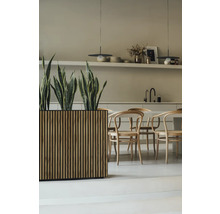 Intérieur lumineux avec table en bois, chaises et jardinière avec plantes vertes