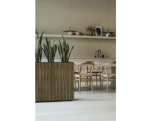 Intérieur lumineux avec table en bois, chaises et jardinière avec plantes vertes