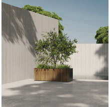 Photo extérieure d'une jardinière plantée avec un revêtement en bois devant un mur en béton