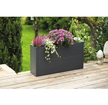 Rechteckiger Pflanzkasten aus Metall mit Herbstblumen auf einer Holzterrasse