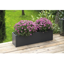 Rechteckiger Pflanzkasten mit zwei Büschen lila Blüten auf einer Holzterrasse