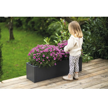 Ein rechteckiger Pflanzkasten mit üppigen lila Chrysanthemen auf einer Holzterrasse, betrachtet von einem kleinen Mädchen