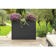 Rechteckiger Pflanzkasten aus Metall mit lila Blumen im Garten