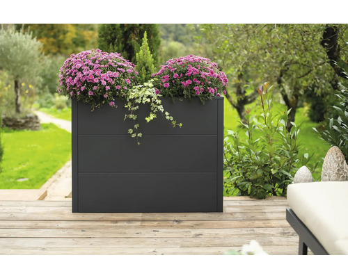 Rechteckiger Pflanzkasten aus Metall mit lila Blumen im Garten