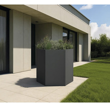 Hexagonaler Pflanzkübel auf einer Terrasse mit Rasen