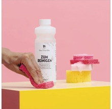 Nettoyant Miss Pompadour avec chiffon et éponges