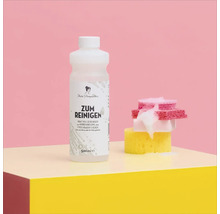 Nettoyant Miss Pompadour avec éponges