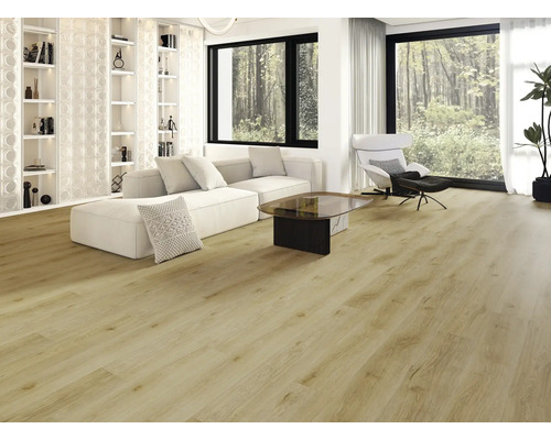 Espace de vie lumineux avec revêtement de sol imitation bois, canapé, fauteuil et bibliothèque.