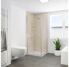 Salle de bains moderne avec cabine de douche, toilettes, sèche-serviettes et plante d'intérieur