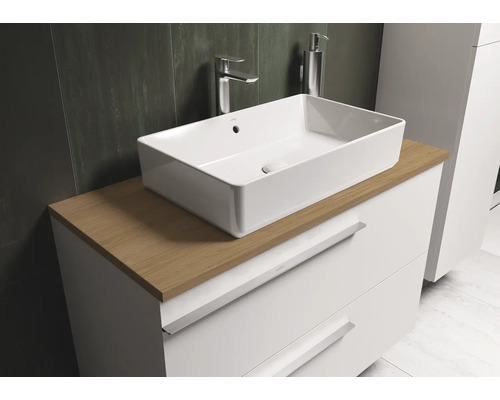 Waschtisch mit Aufsatzwaschbecken und Unterschrank für das Badezimmer.