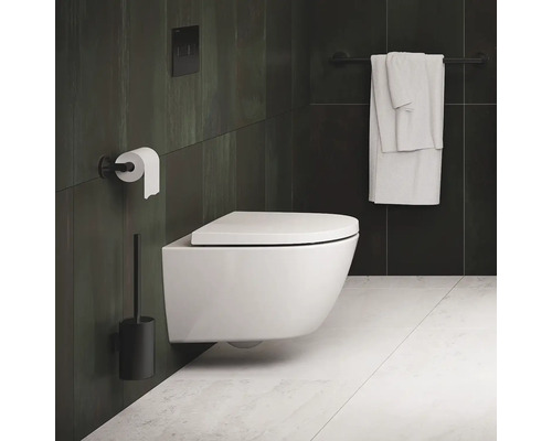 Badezimmer mit wandhängendem WC, Toilettenpapierhalter, Bürstengarnitur und Handtuchhalter