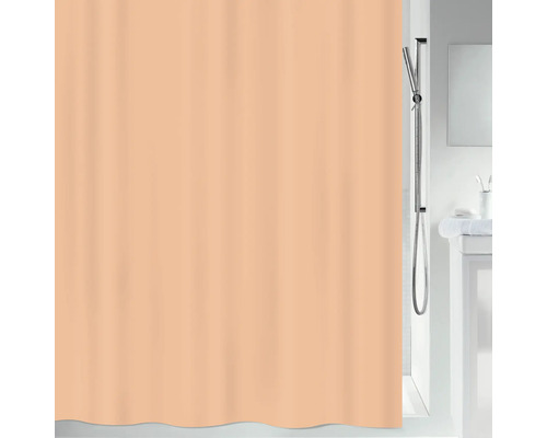 Badezimmer mit Duschvorhang