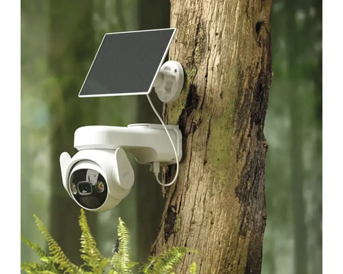 Aussenkamera mit Solarpanel an einem Baum befestigt
