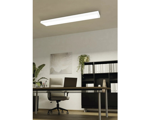 Deckenleuchte in einem Büro mit Schreibtisch, Bürostuhl und Regal.