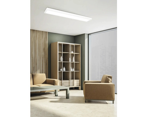 Heller Wohnraum mit Deckenleuchte, Regalen und Sitzmöbeln