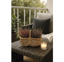 Plantes de bruyère décoratives dans un panier en osier sur une table de jardin avec une bougie