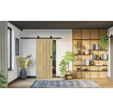 Wohnraum mit Schiebetür aus Holz, Bücherregal und dekorativen Pflanzen