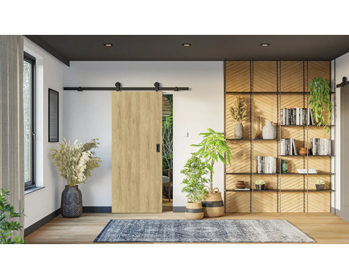 Innenraum mit Schiebetürsystem, Bücherregal und Zimmerpflanzen für eine gemütliche Atmosphäre.