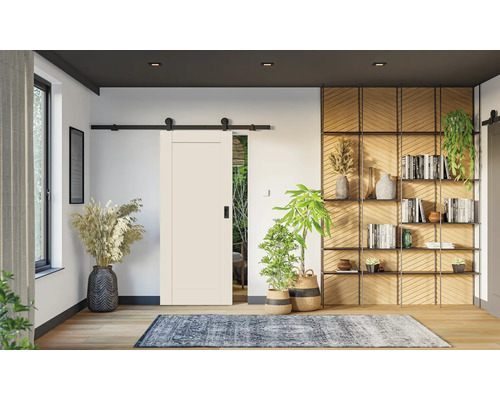 Innenraum mit Schiebetür, Bücherregal und Dekorationen für ein stilvolles Wohnambiente.