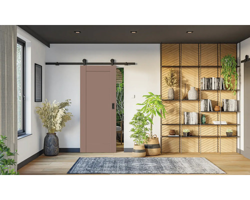 Einrichtungsidee mit Schiebetür, Regal und Zimmerpflanzen für ein helles und modernes Wohnambiente.