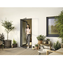 Terrasse avec porte de patio, fenêtre et plantes en pot