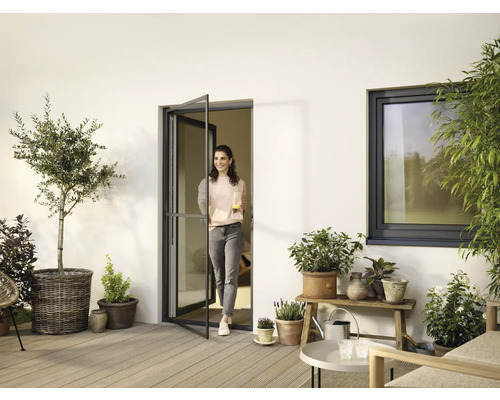 Terrasse avec porte de patio, fenêtre et plantes en pot