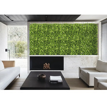 Salon avec mur végétal, cheminée et meubles