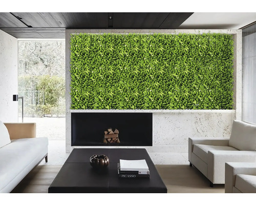 Salon avec mur végétal, cheminée et meubles