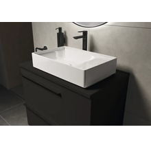 Vasque à poser sur un meuble sous-vasque dans une salle de bains.
