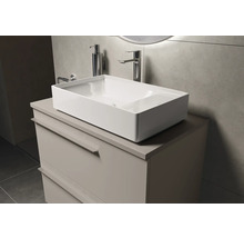 Meuble-lavabo avec meuble sous-vasque et vasque à poser dans la salle de bain