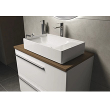 Salle de bain moderne avec vasque à poser, robinetterie et meuble sous-vasque pour une ambiance élégante.
