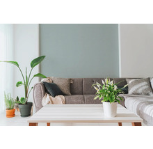 Wohnzimmer mit grauem Sofa, Zierkissen, Zimmerpflanzen und weißem Tisch