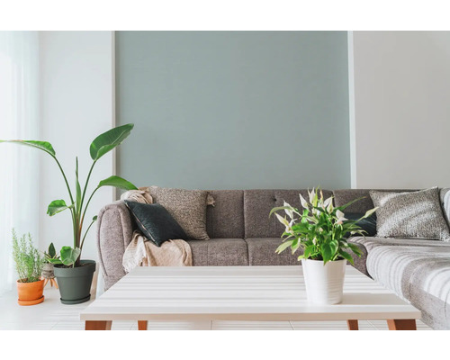 Wohnzimmer mit grauem Sofa, Zierkissen, Zimmerpflanzen und weißem Tisch