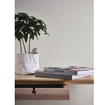 Dekorative Zimmerpflanze mit Papierübertopf auf einem Holztisch mit Büchern.