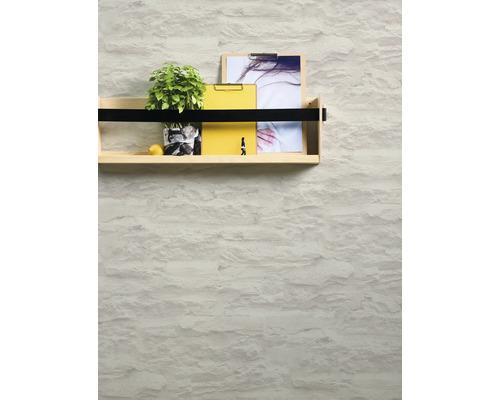 Regal mit Pflanze, Zitrone, Klemmbrettern und Bildern an der Wand