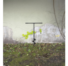 Tarière dans le jardin devant un mur