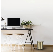 Scène avec bureau, chaises, écran d'ordinateur, plante et seau en métal à pédale.