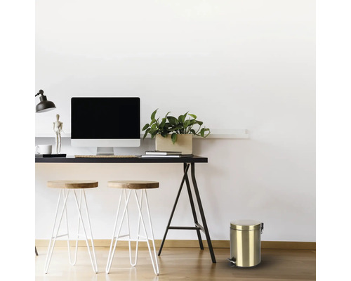 Scène avec bureau, chaises, écran d'ordinateur, plante et seau en métal à pédale.