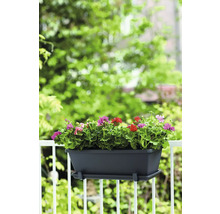 Jardinière avec géraniums sur un garde-corps de balcon