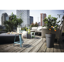 Idée d'aménagement pour un balcon de ville avec mobilier de salon, table et plantations