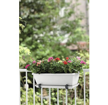 Jardinière avec géraniums sur un garde-corps de balcon