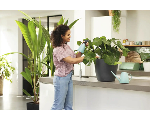Frau bewässert eine Zimmerpflanze in einer Küche mit Sprühflasche