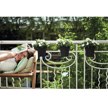 Frau entspannt mit einem Buch auf einer Bank auf dem Balkon mit Blumenkästen