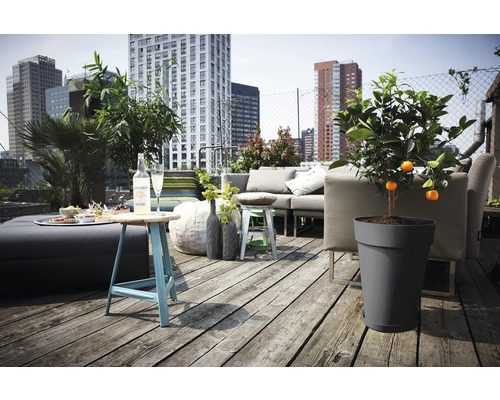 Terrasse sur le toit avec coin salon, table d'appoint, boissons et citronnier en pot