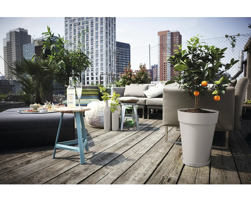 Toit-terrasse avec mobilier de jardin et oranger en pot