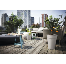 Terrasse sur le toit avec mobilier de salon, table d'appoint, bac à fleurs et citronnier devant la skyline