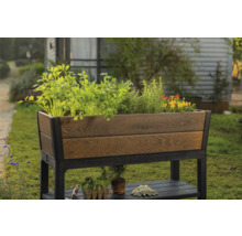 Hochbeet aus Holz und Metall mit Pflanzen bepflanzt im Garten.