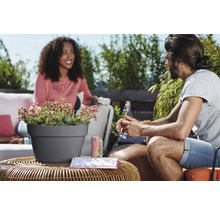 Szene im Freien mit einem grauen Pflanztopf auf einem Tisch mit Pflanzen und zwei Personen im Hintergrund.
