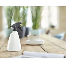 Pflanzensprüher auf einem Holztisch